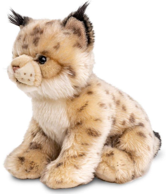 Hämeen Tupsukorva – silkkitassu nopsajalka – korkeus 22 cm