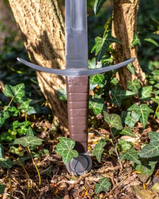 Arnold-näytöstaistelumiekka