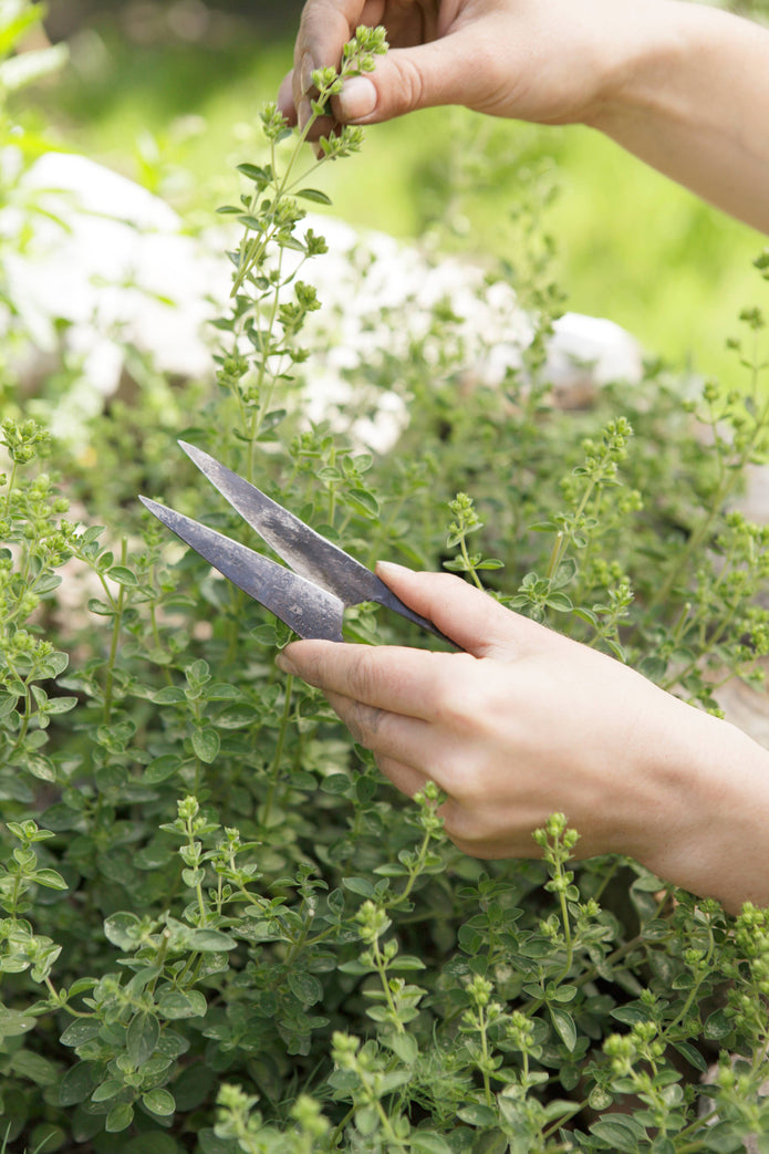MO- sakset, 4cm - 8cm terällä