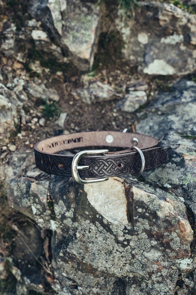 Koiran talutushihna- ja kaulapantasetti "Ferris + Maddox", tummanruskea