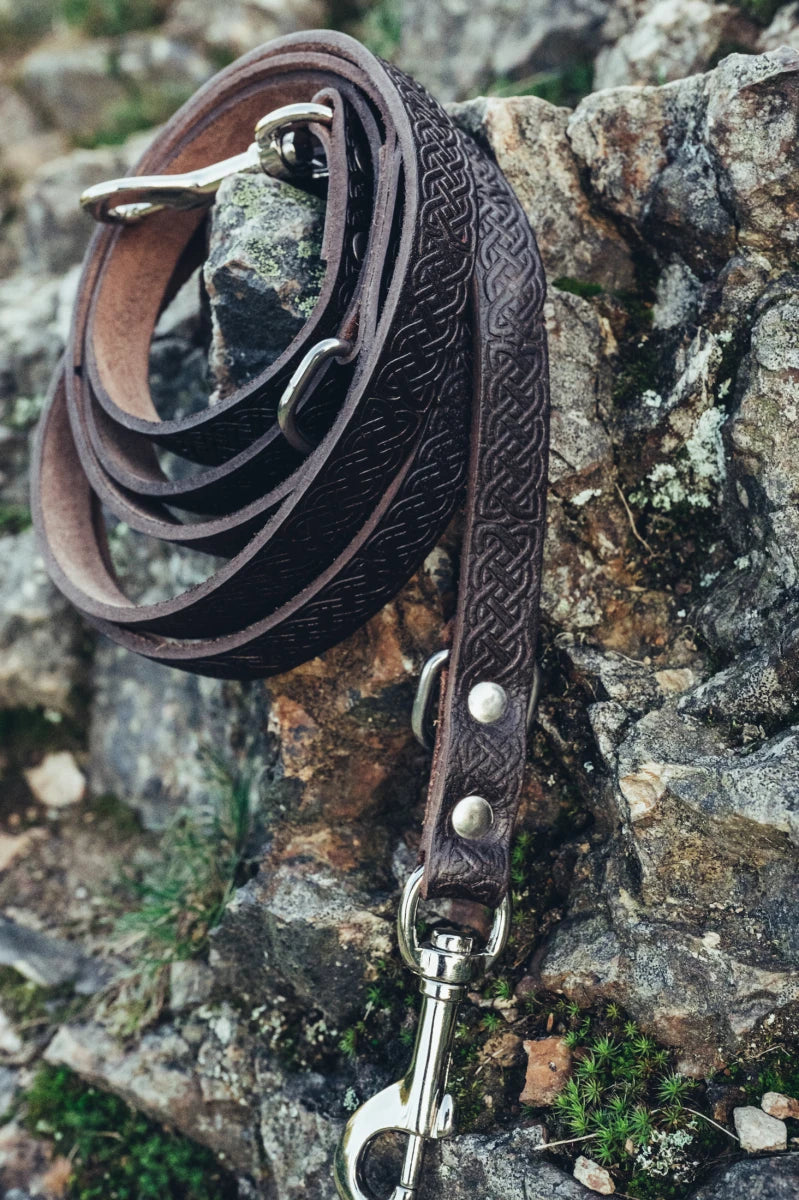 Koiran talutushihna- ja kaulapantasetti 