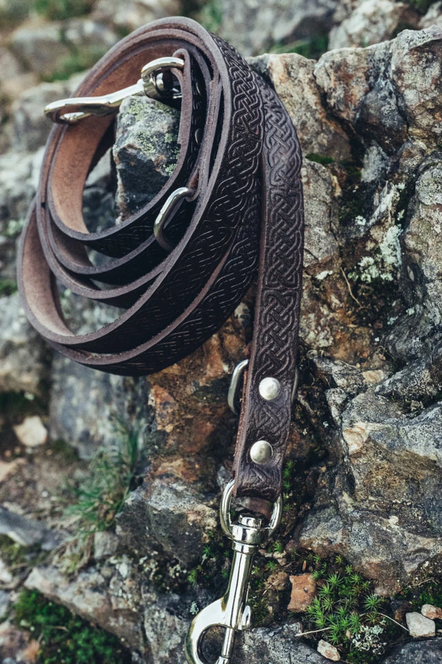 Koiran talutushihna- ja kaulapantasetti "Ferris + Maddox", tummanruskea